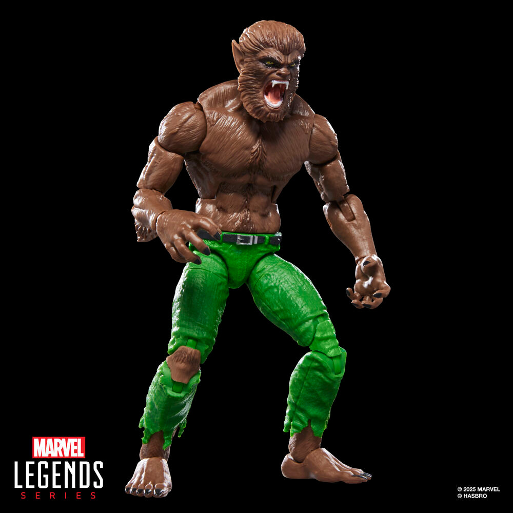 Marvel Legends Series Werewolf By Night figure 15cm